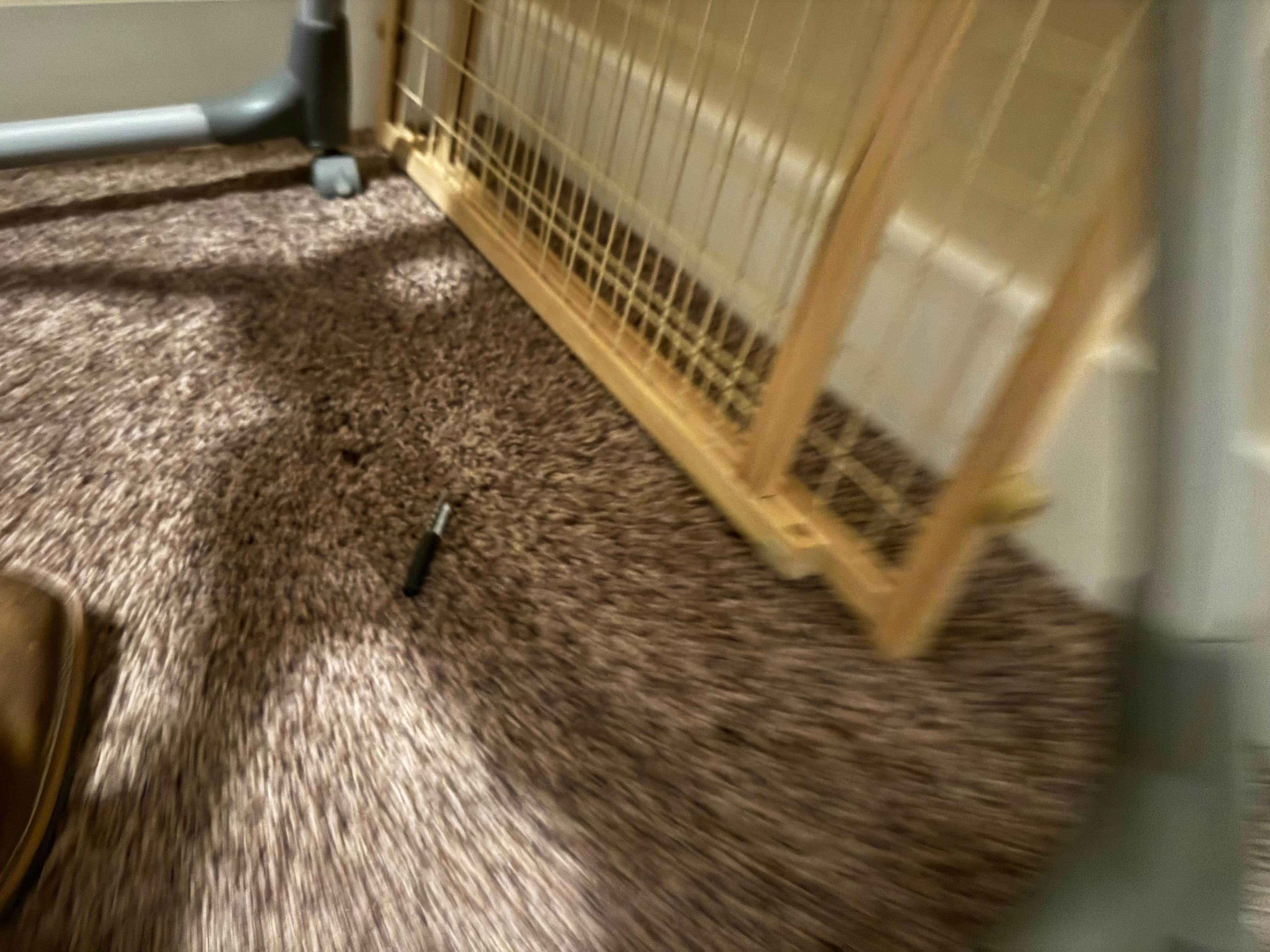 Someone’s personal item