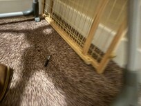 Someone’s personal item