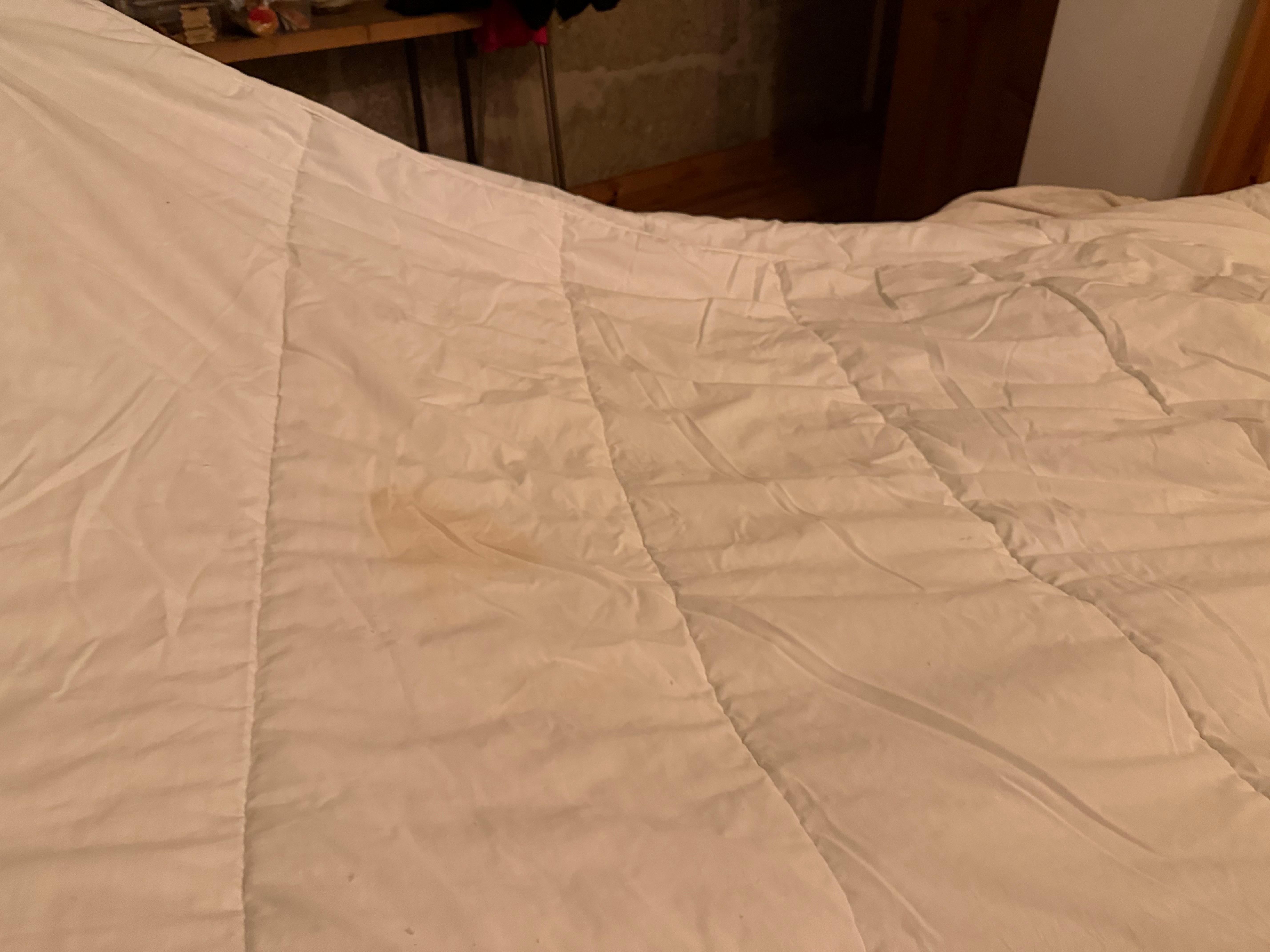 The blanket had urine and blood stains all over it. They didn’t even replace it after we told them.
