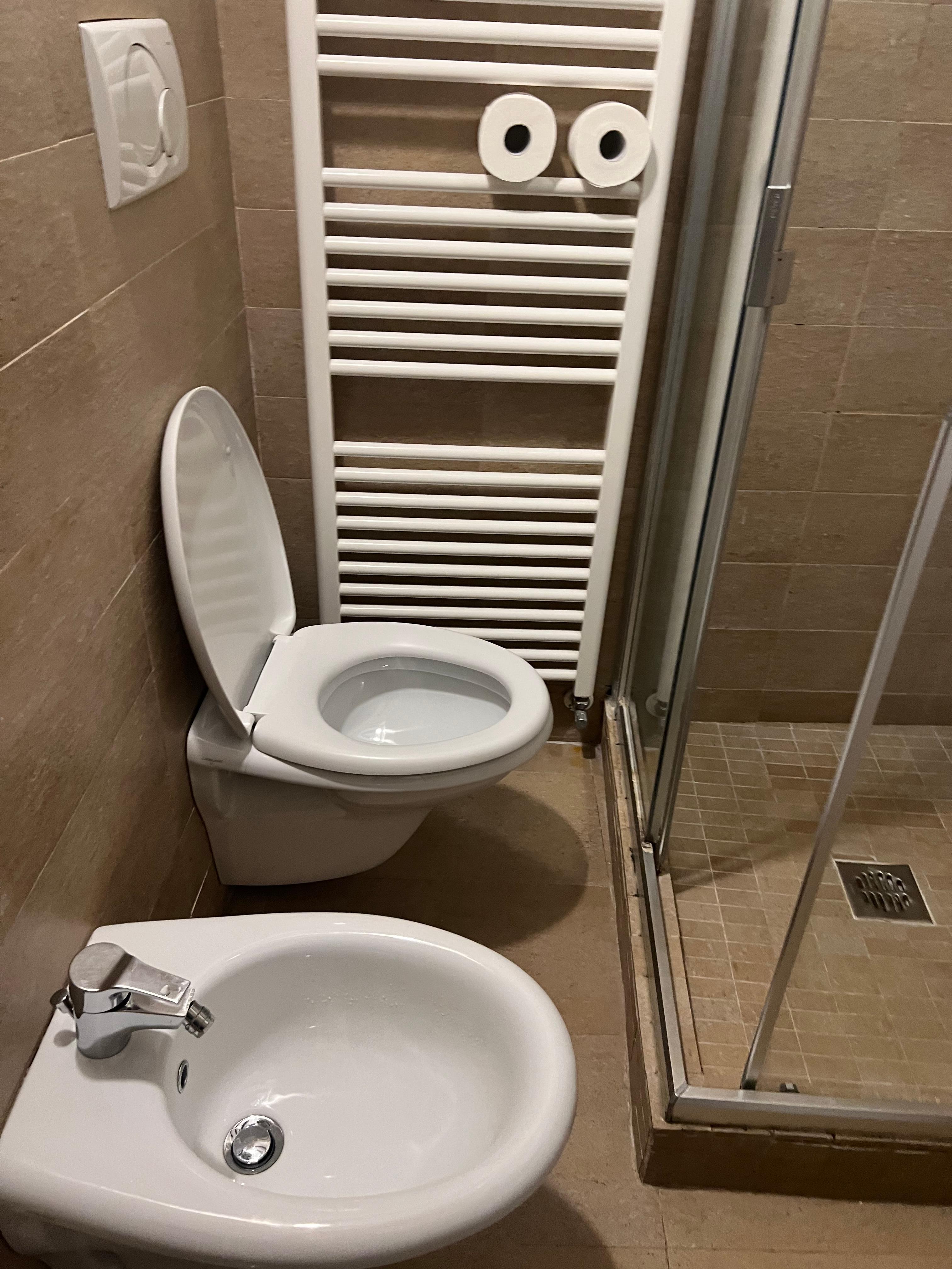 Unusable toilet. 