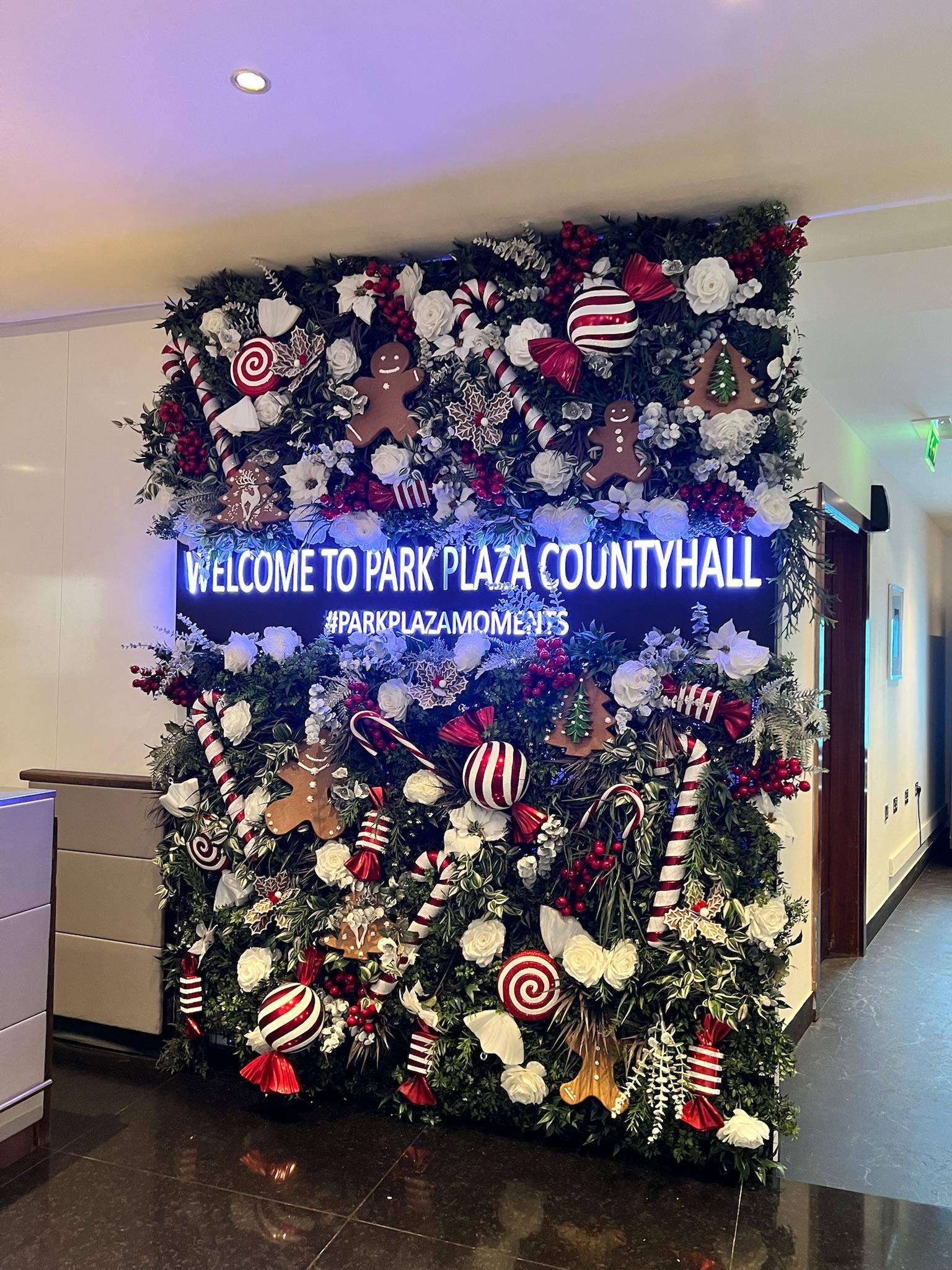 Lobby was well decorated!