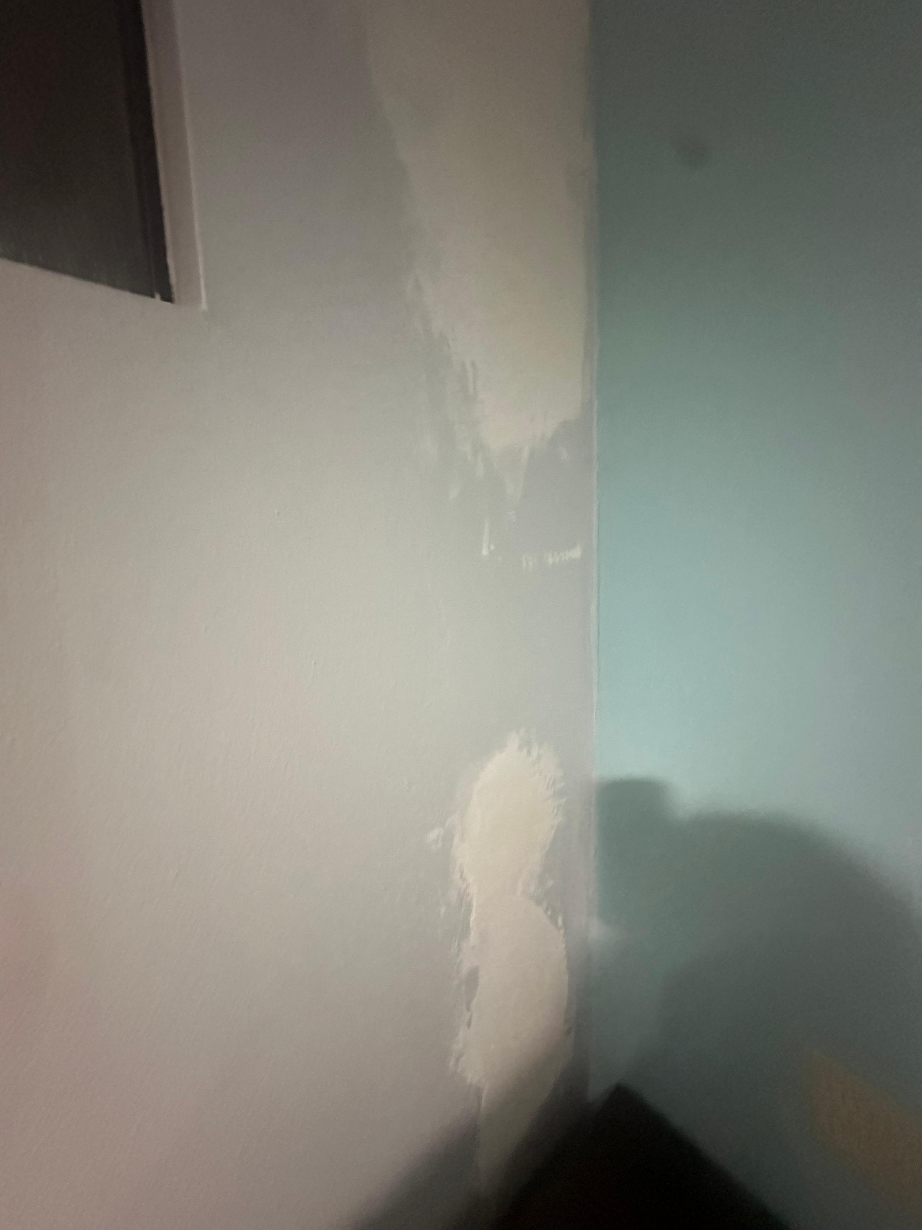 This is the walls. 