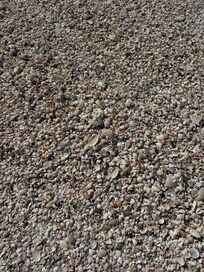 Irma loved the beacj