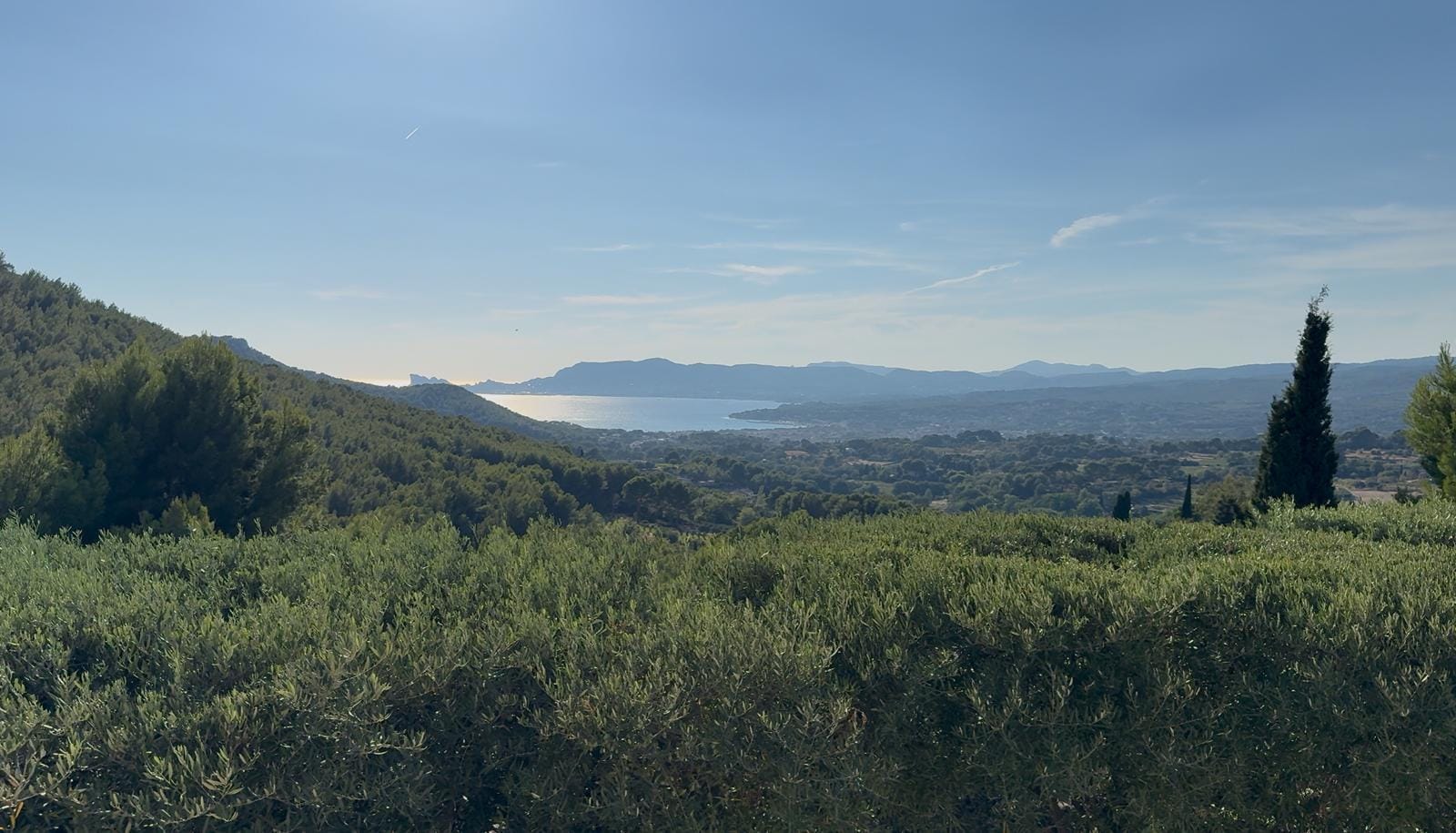 Le calme du petit matin