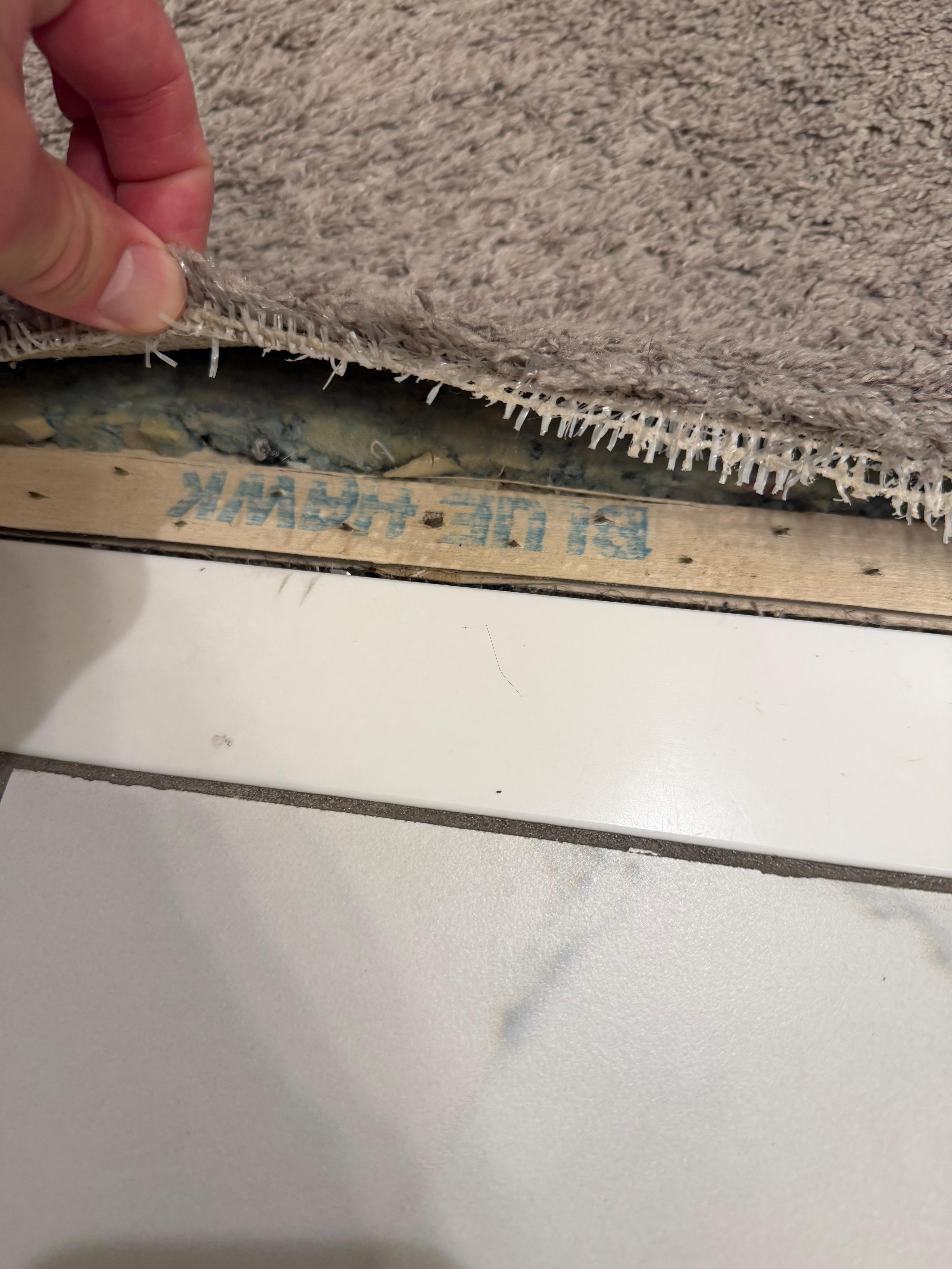 Carpet coming up, exposed carpet tacks by bathroom. 