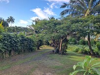 View from deck.