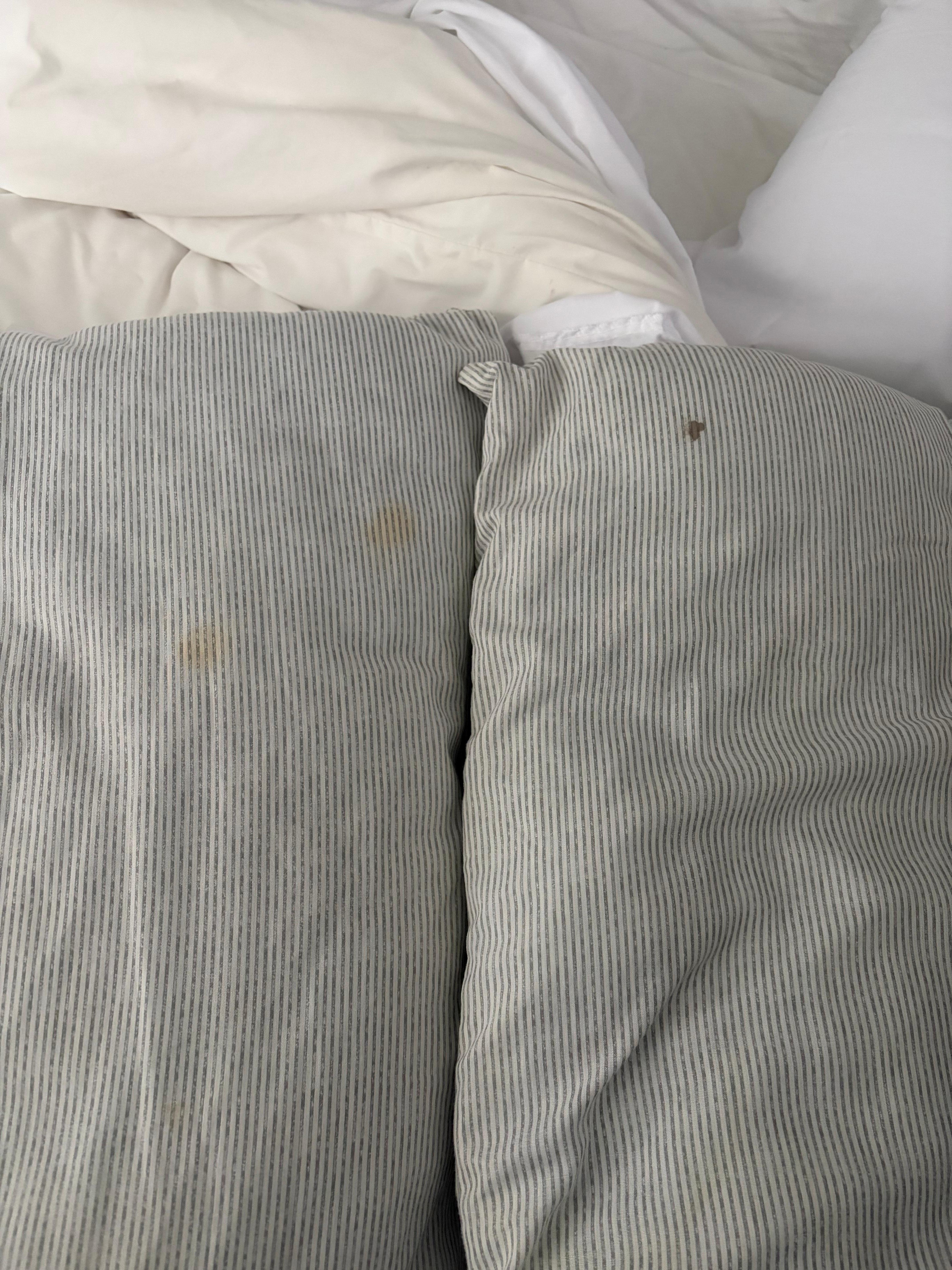 Examples of blood stains on pillows. The pillows were also flat and old. There were also blood stains on mattress toppers. 