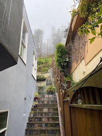 Stairs up to the backyard.