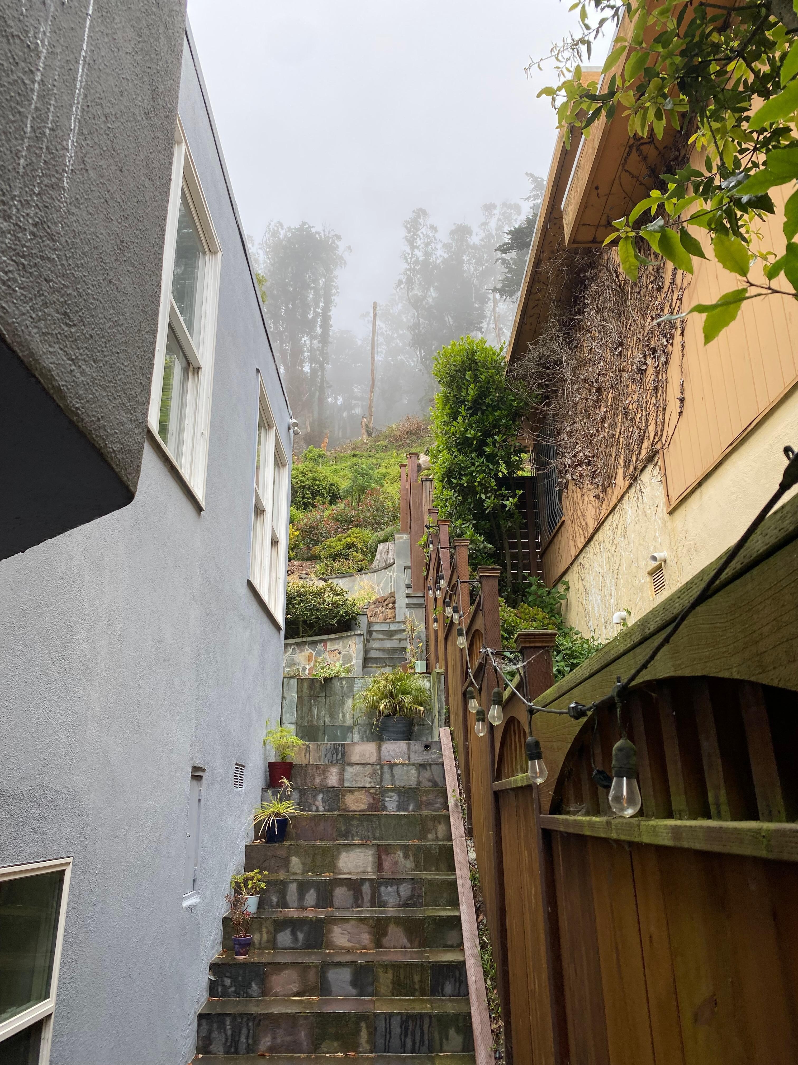 Stairs up to the backyard.
