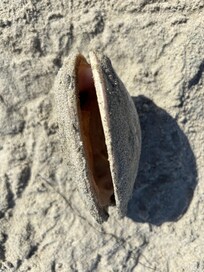 Sky from balcony of master bedroom