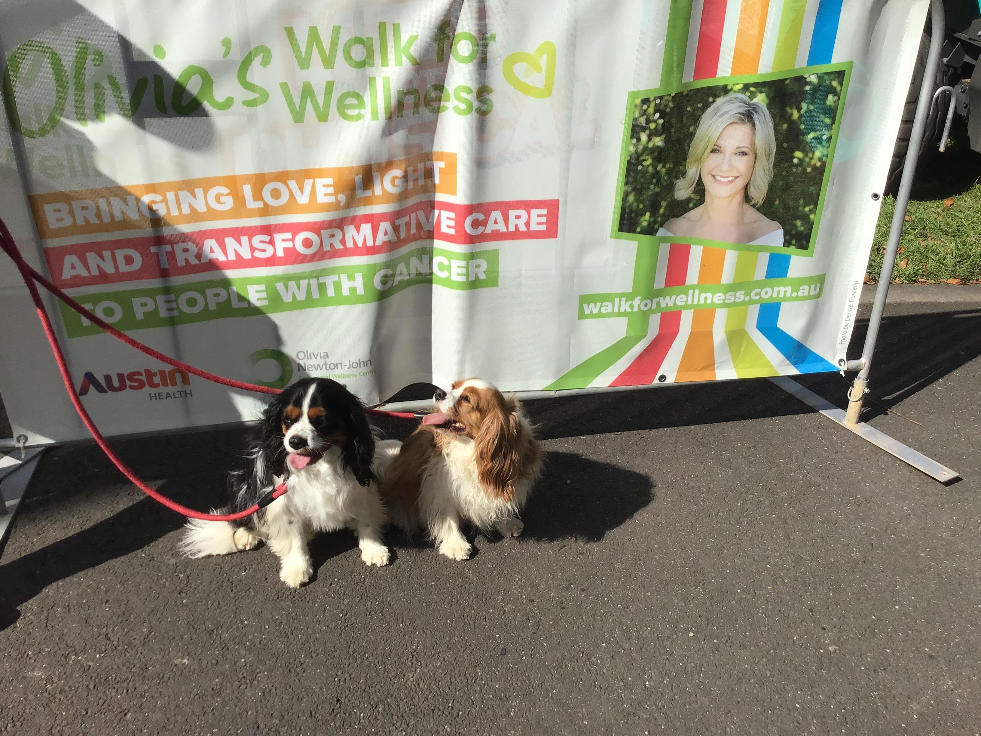 “Charlie” & “Cricket” preparing for “ Walk for Wellness”.
