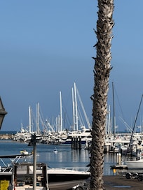Harbor views