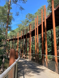 Fietsen door de bomen
