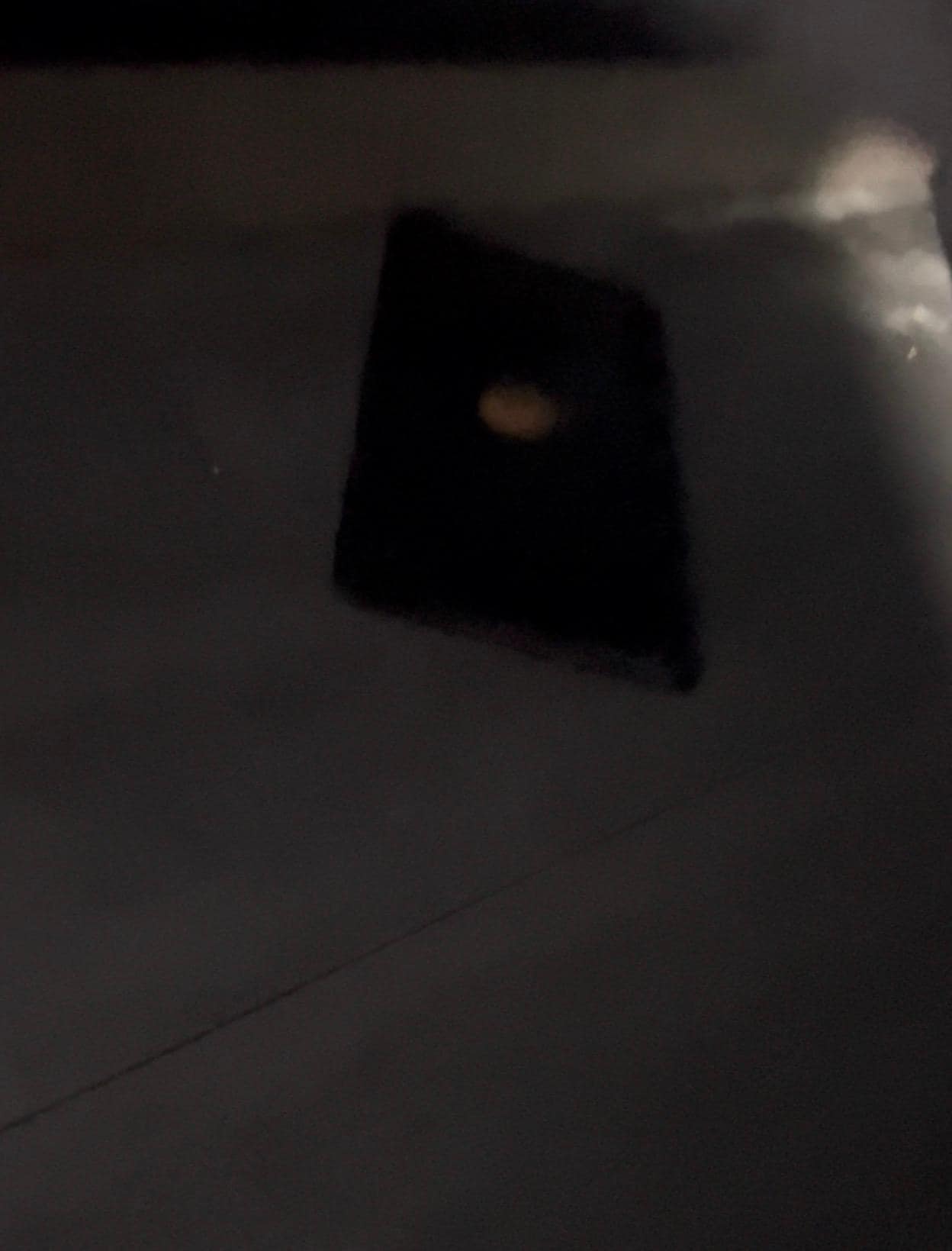 The rat trap I had to push up under the bed to keep kids from stepping in. 