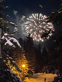 New Year’s fireworks from our rental