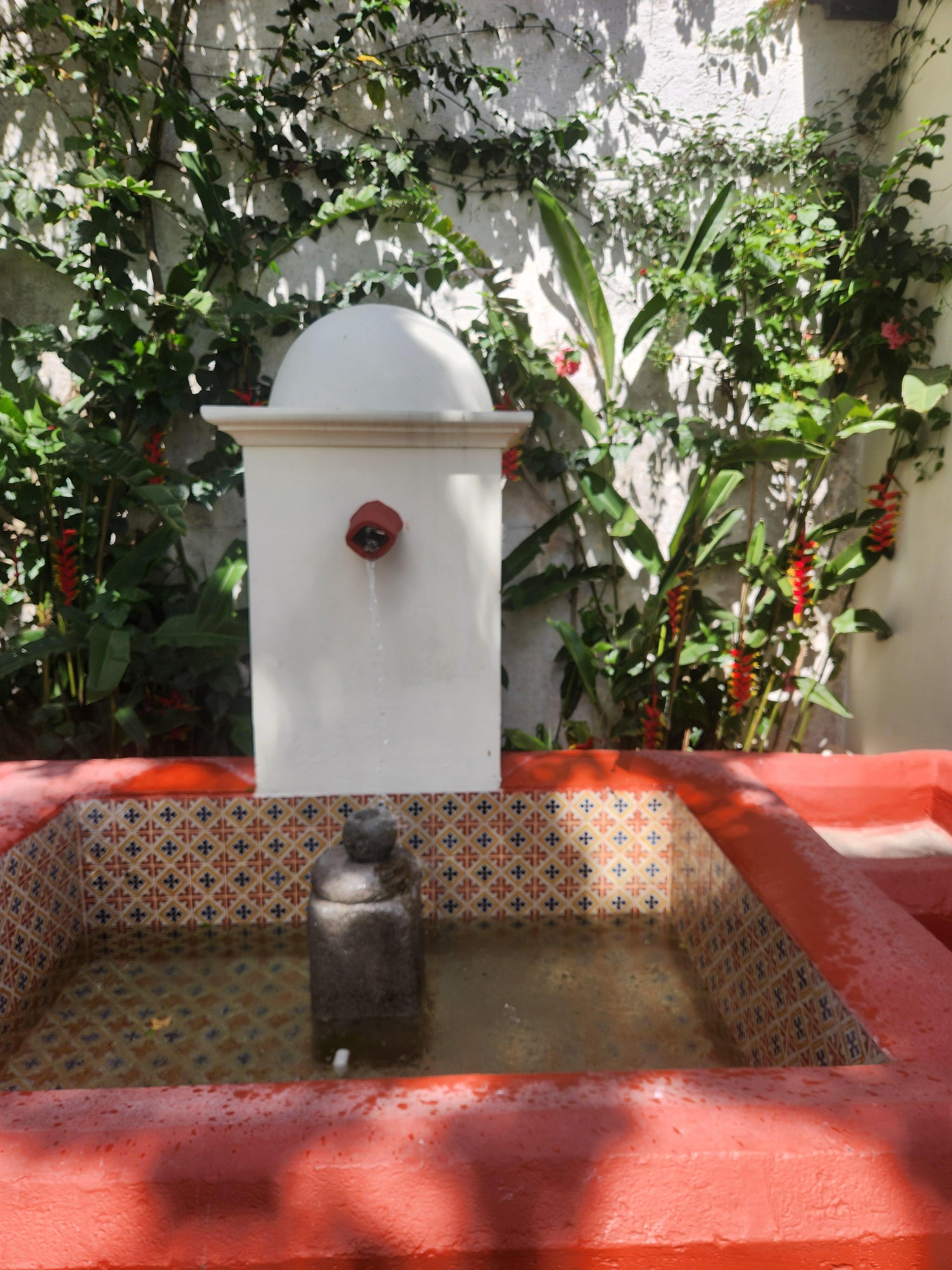 Garden.