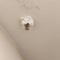 A wash rag put in place of fixing an obviously leaky fire sprinkler in the ceiling.