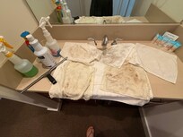 These are the cleaning products that the lady brought me and the rags that she brought me to clean with.