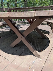 Main outdoor dining table. COVERED in Cobwebs