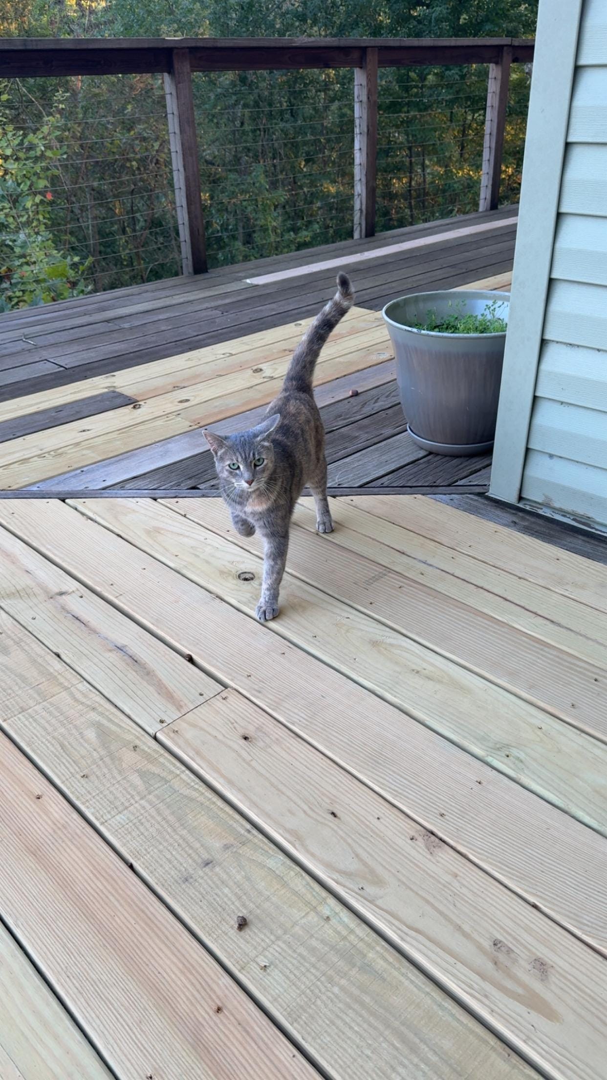 Cute little cat that kept us company while we were there! 