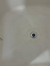 Shower yuck - we cleaned