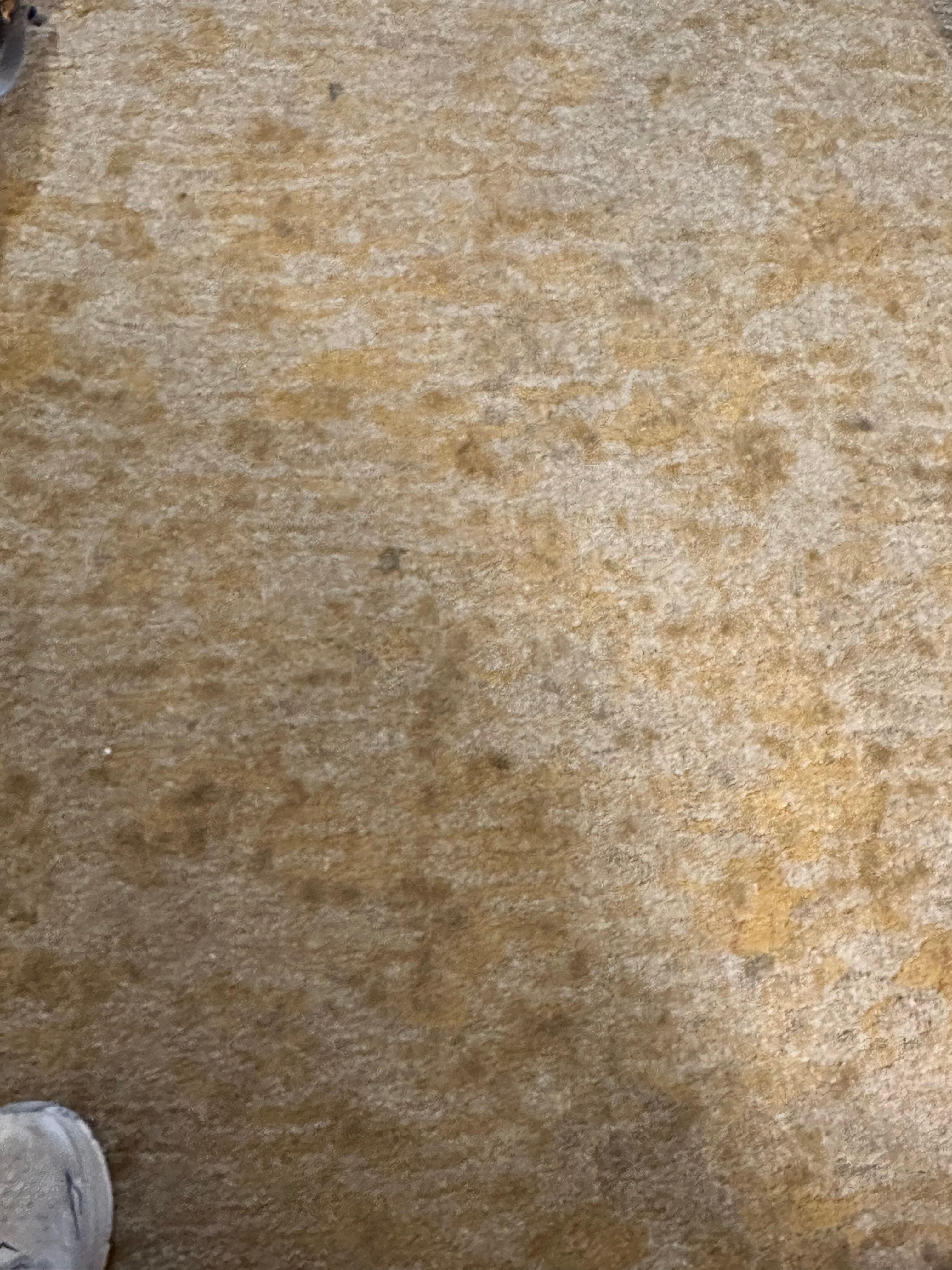 Even the spot camouflaging carpet cannot hide the horrors contained within