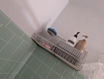 rusty bathroom shelf