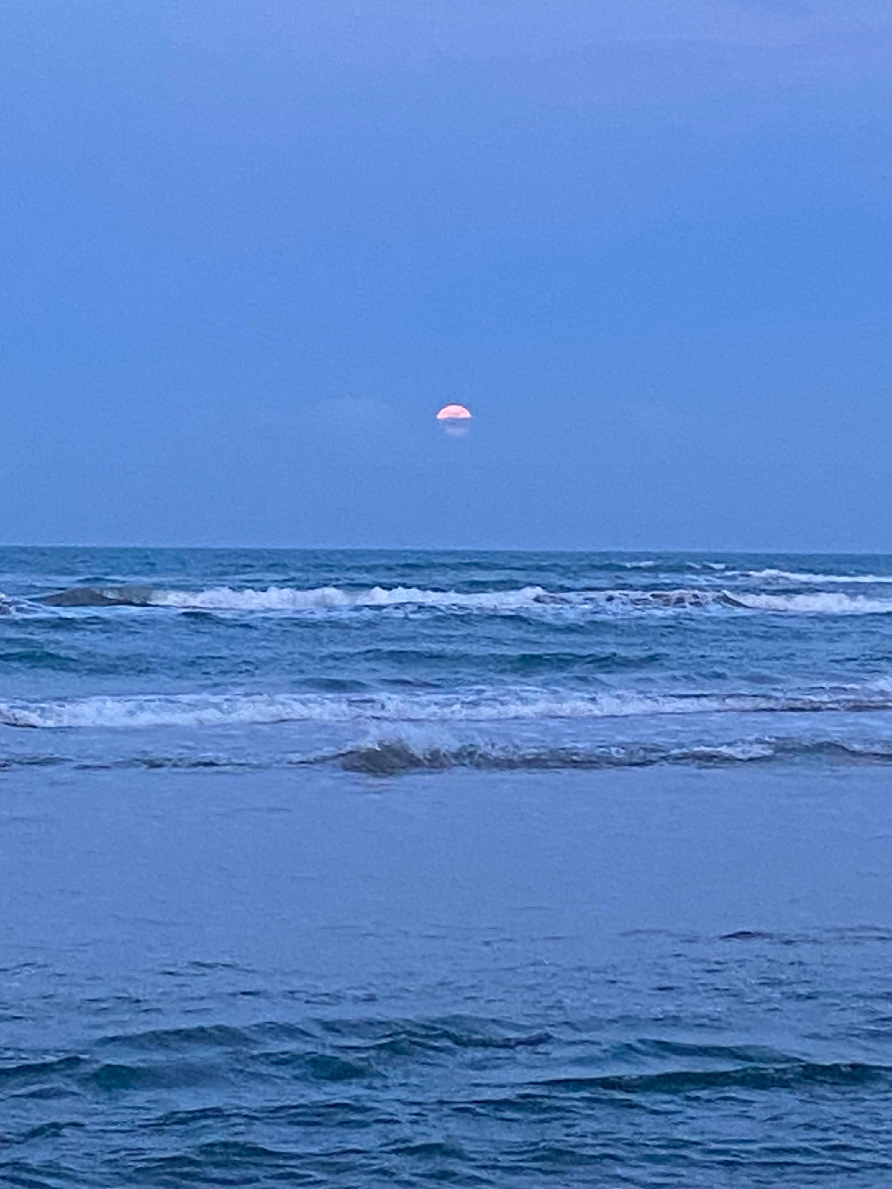 Strawberry moon