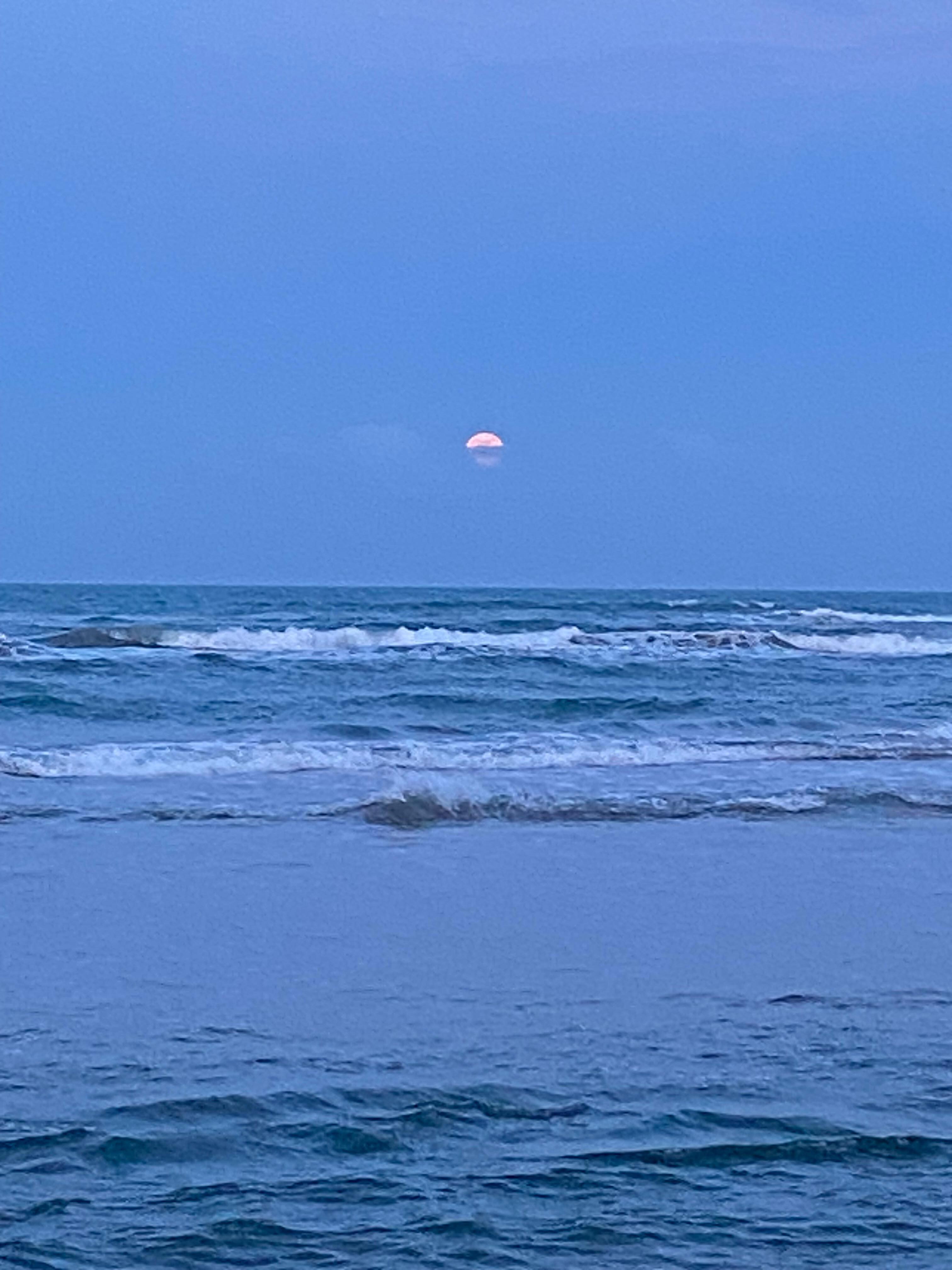 Strawberry moon