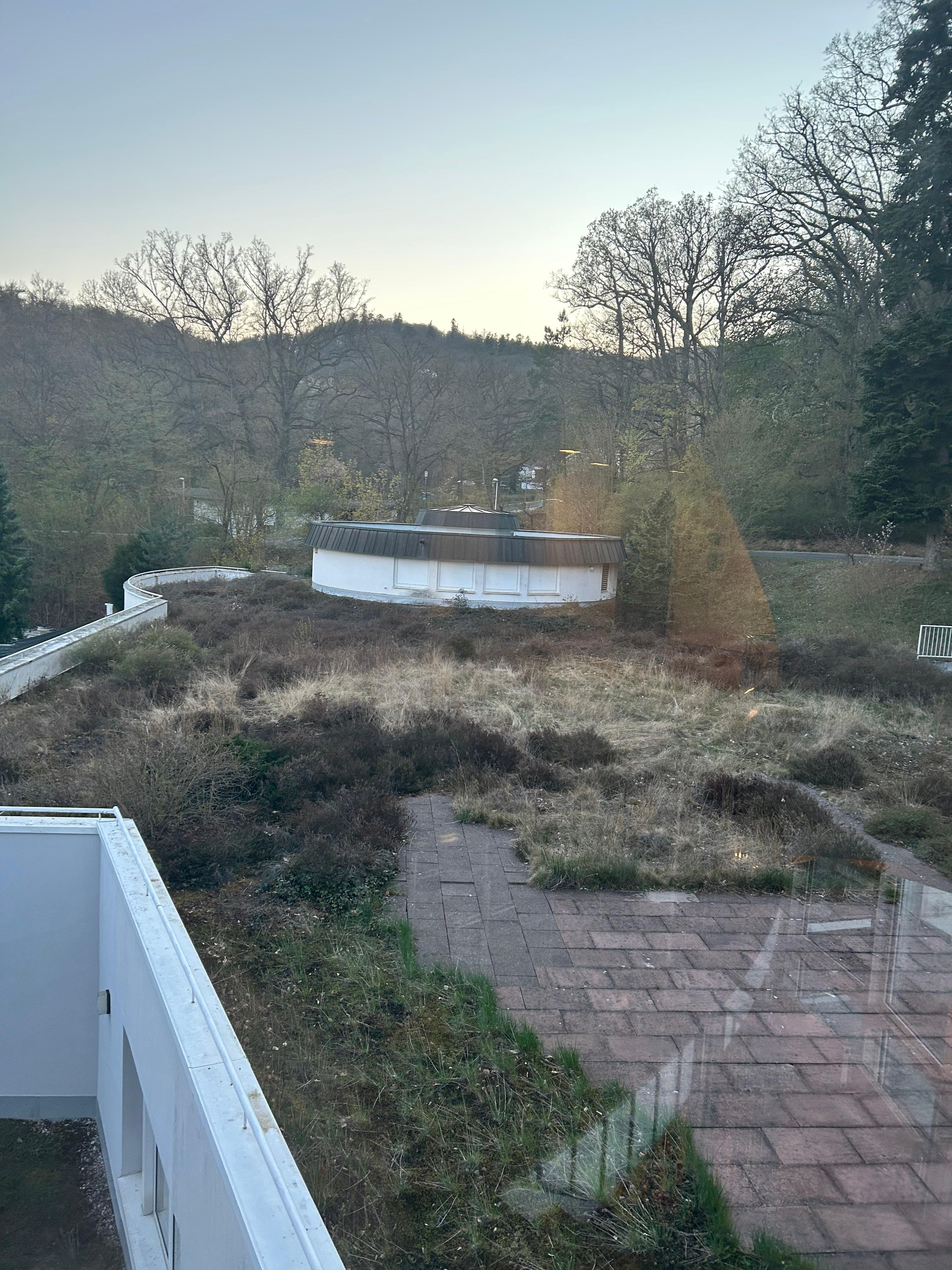 
Dachterrassen verwildern