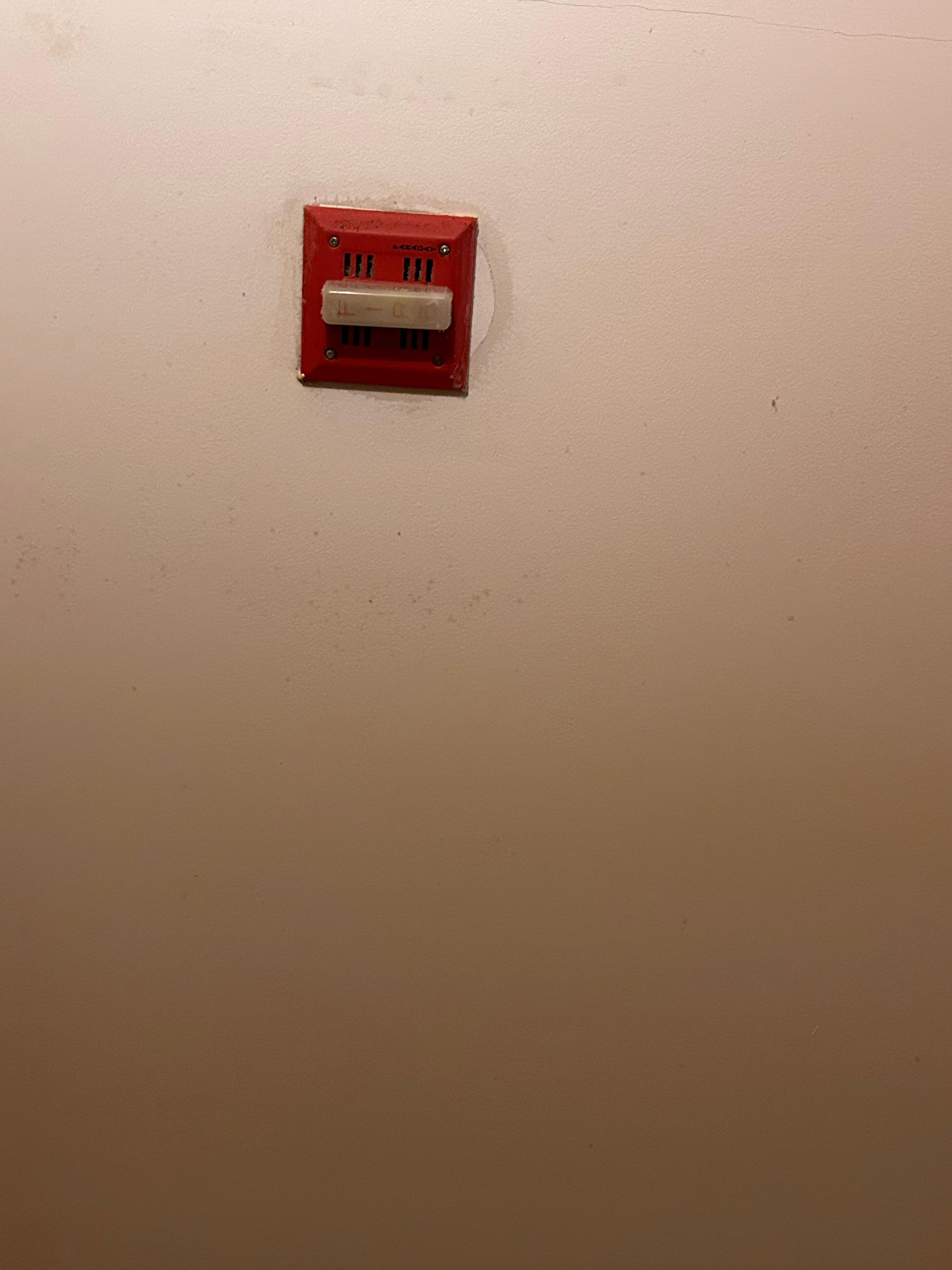 Black mold around fire alarm, plus painted over mold in other area on ceiling