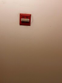 Black mold around fire alarm, plus painted over mold in other area on ceiling