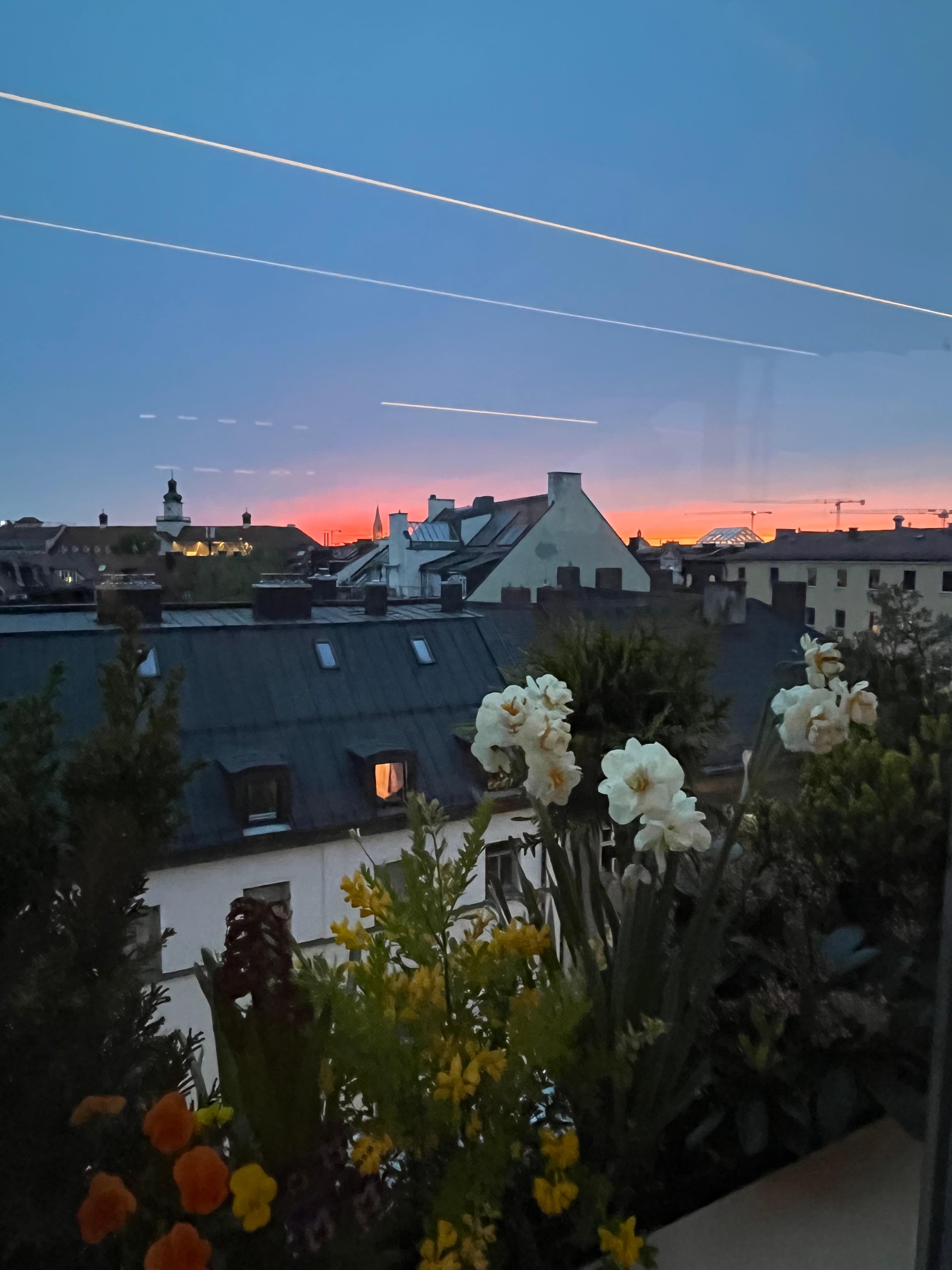 Rooftop Bar