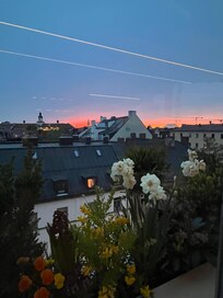 Rooftop Bar