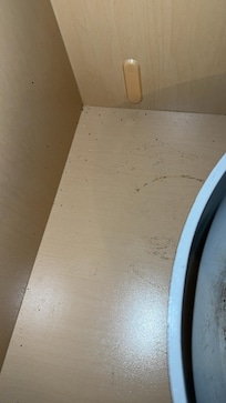 Roach feeces in pots and pans cupboard