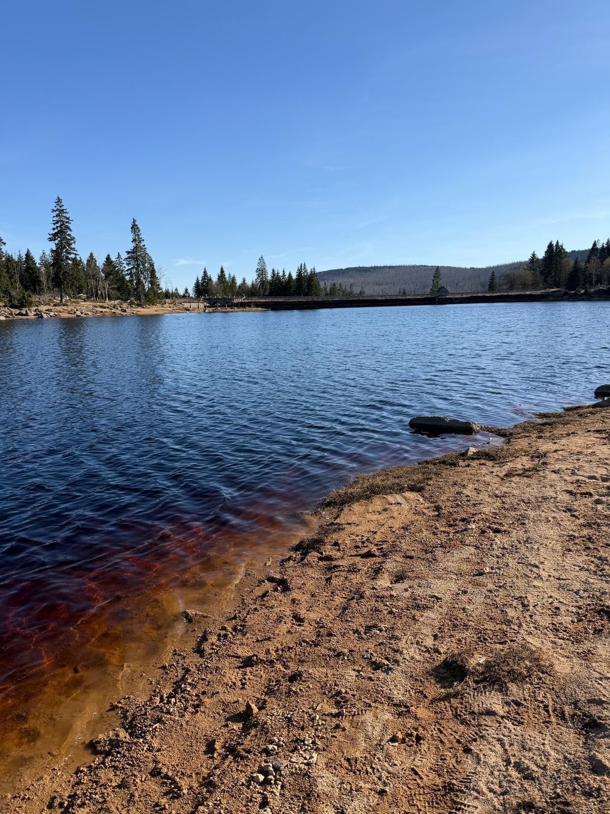 Der Oderteich, wenige Minuten von der Unterkunft entfernt. 