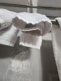 Hair in the towel that was there when we arrived.