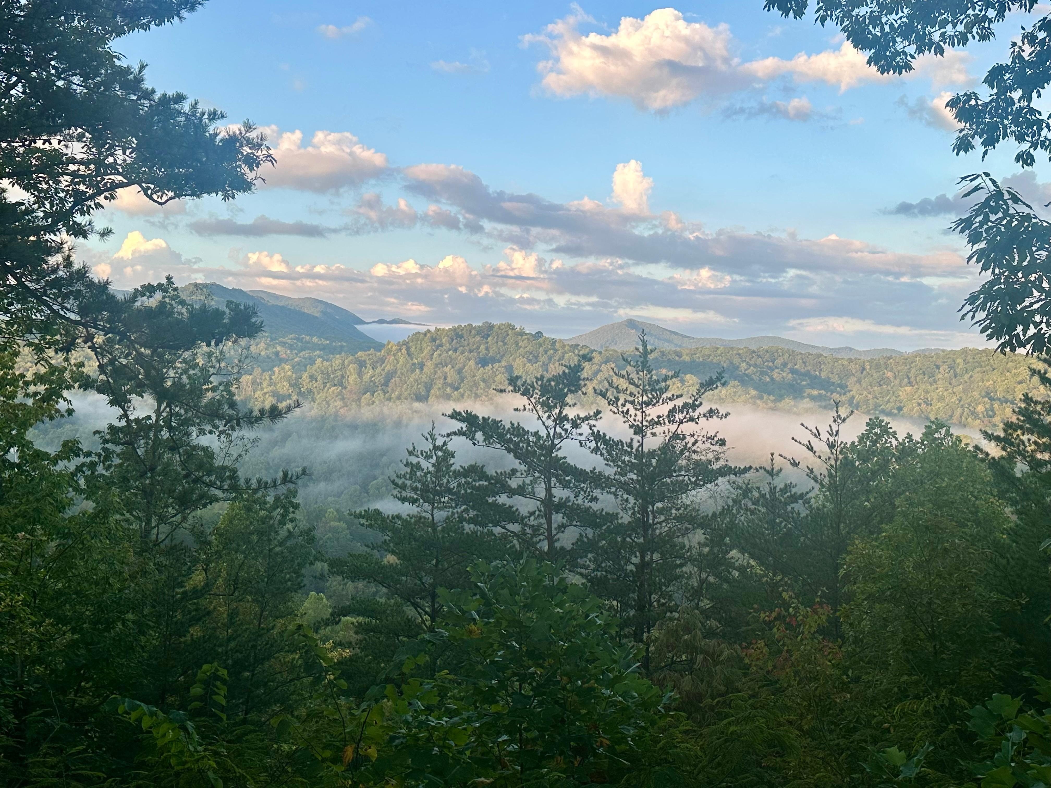 View from back deck. 