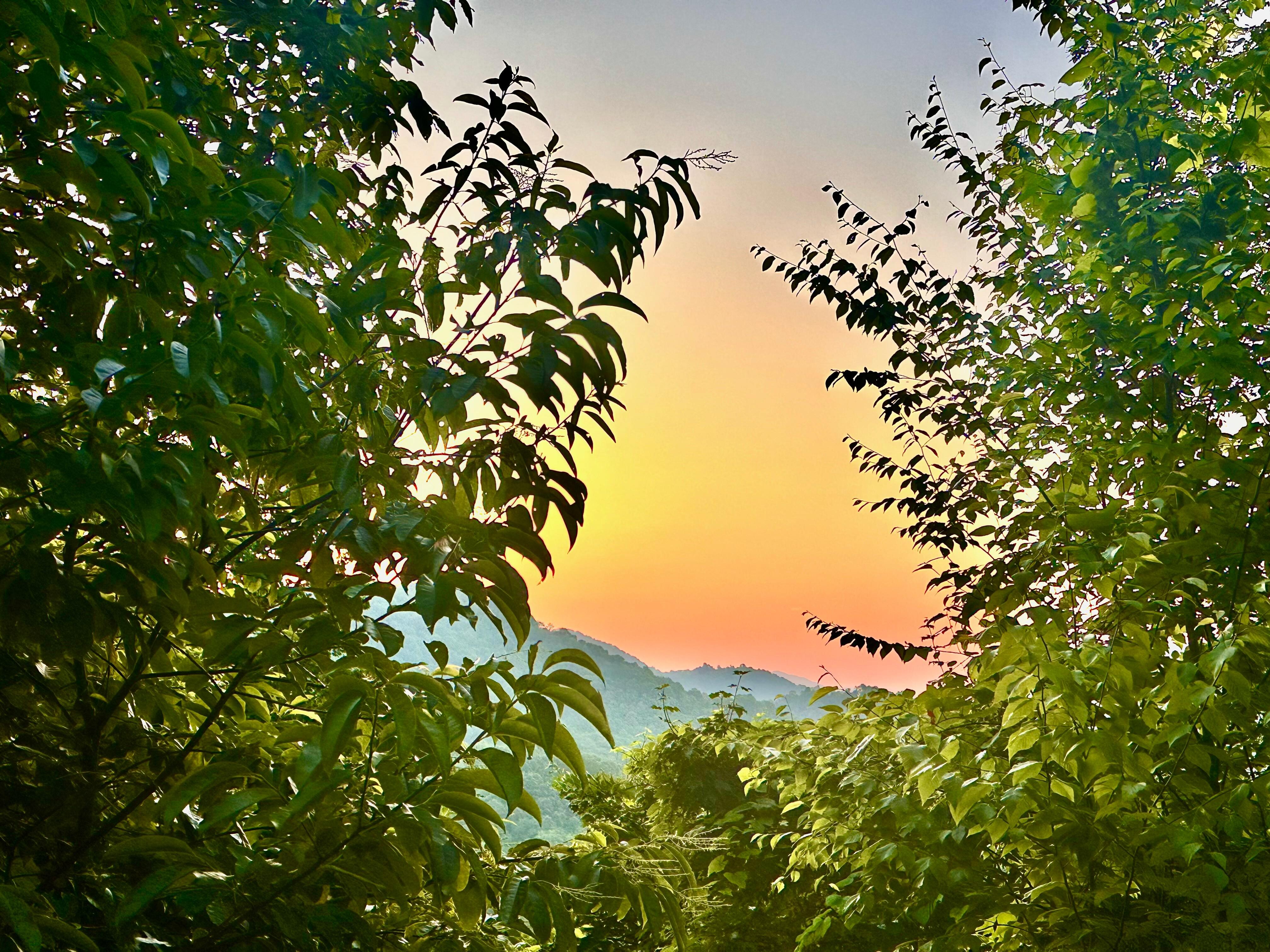Sunrise from the deck