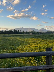 View from the driveway.