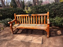 Taylor Swift bench at Centennial Park (I am a Swiftie and it was too easy to add this in)