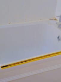 Mold on the bottom of the shower screen