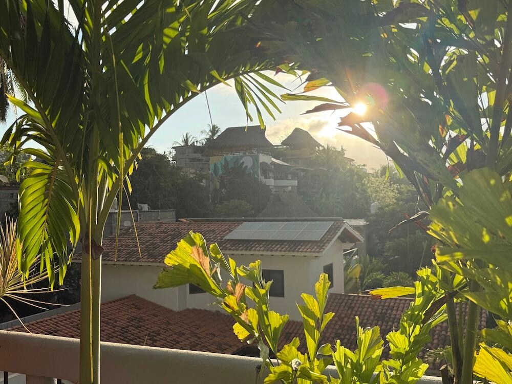 looking out from the rooftop