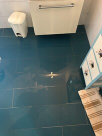 Standing water 2 baths. Not operable during stay