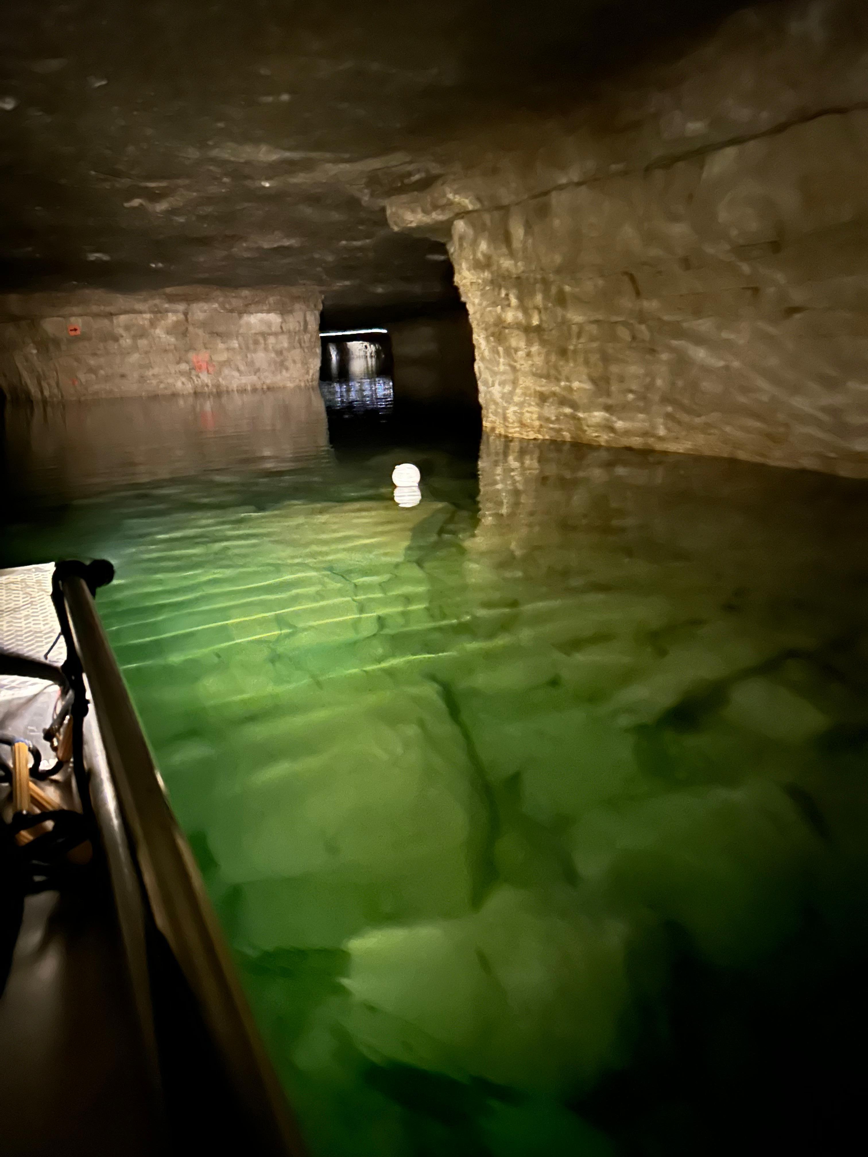 Did the Red River Gorge boat ride, very awesome. The drive there was outstanding, drove through a one way narrow tunnel, gorgeous 