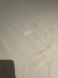 The bedding