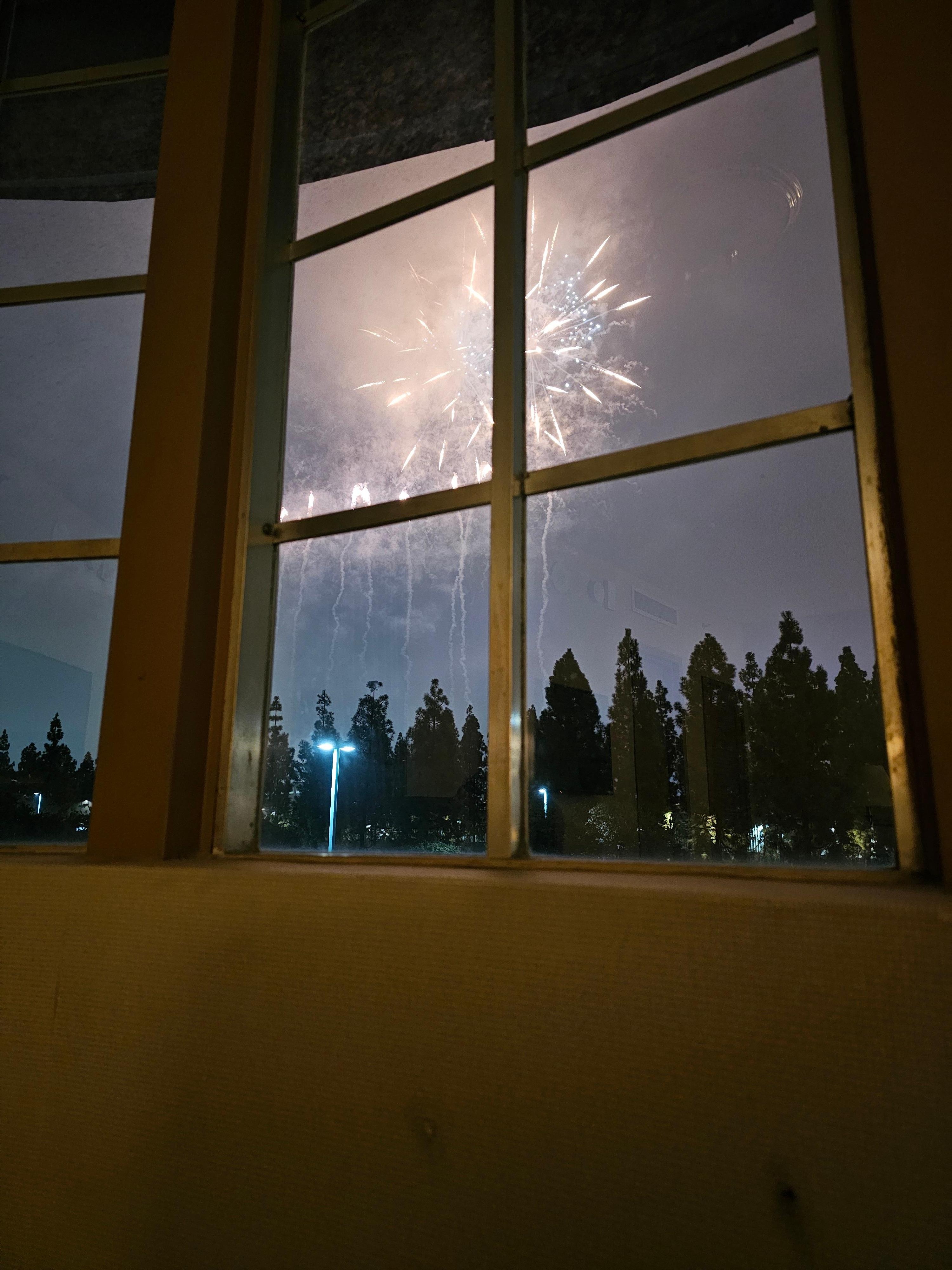 Watching the fireworks from our room was an absolute dream! 