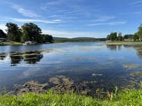 View of the pond from the property shore.