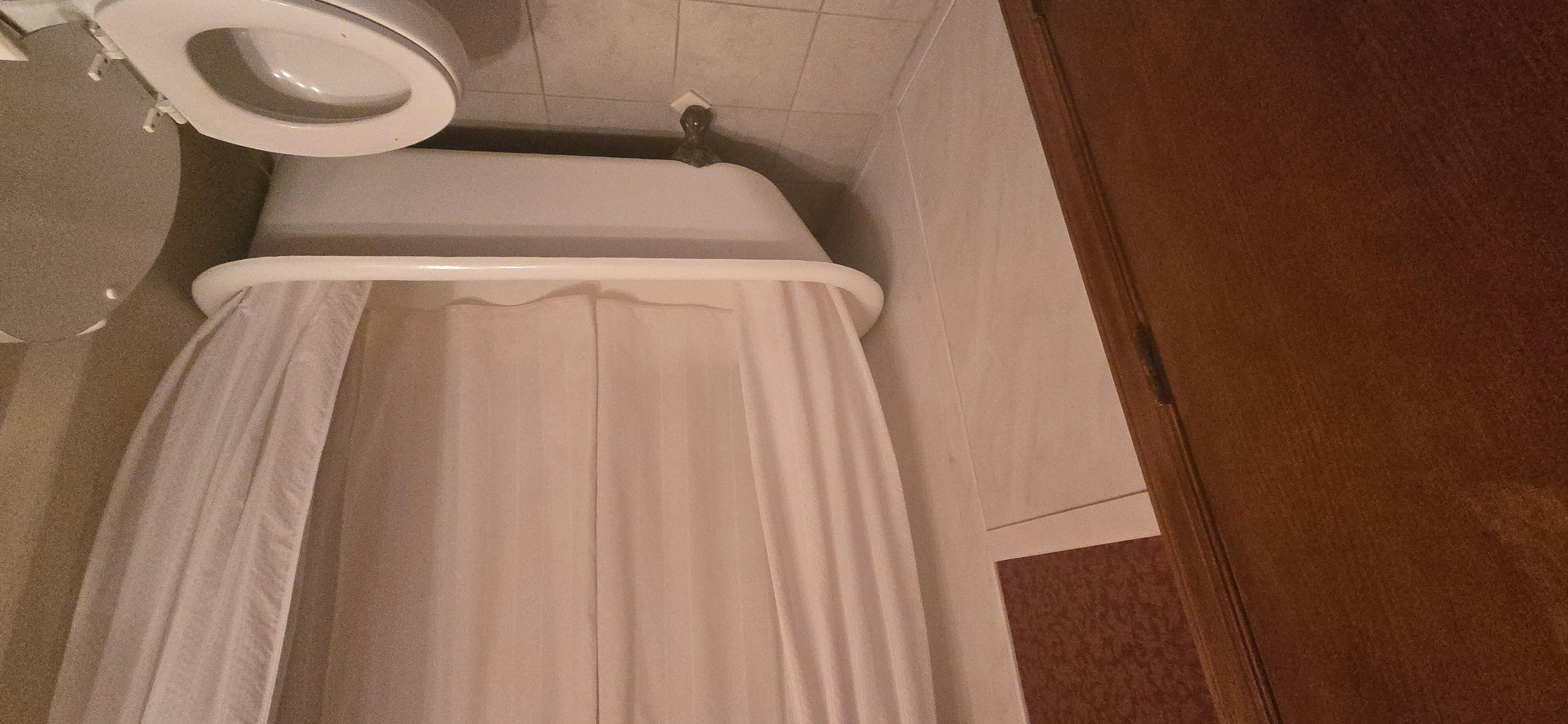 Claw foot tub