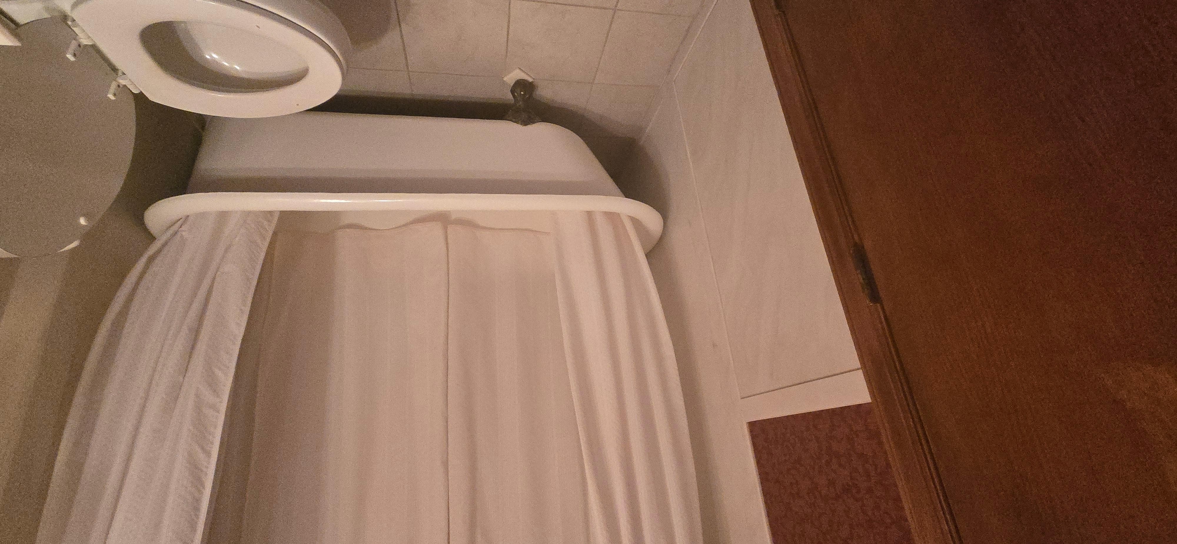 Claw foot tub